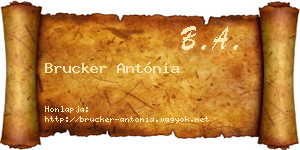 Brucker Antónia névjegykártya